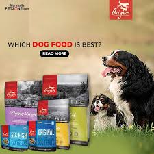 Why Is Orijen The Best Pet Food Pets Dog Food Recipes Food