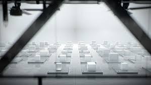 Tedx Sydney 2019 Titles On Behance In 2020 Event Graphics 10 Year Anniversary Tedx