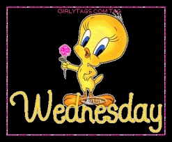 Image result for wednesday graphics