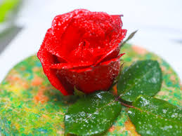 Use a pastry brush to keep the. How To Sugar Flowers 8 Steps With Pictures Wikihow