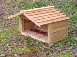 Whether you have one animal or many we have the solution. Feeding Station Options Alley Cat Allies