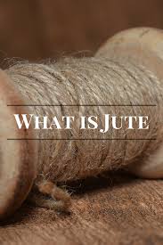 Resultado de imagen para what is jute