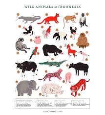 The area's rich biodiversity owes much to the eruption of krakatoa in 1883, which drove the human population away. Wild Animals Of Indonesia