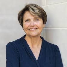 Irreversible Processes in Ecological Evolution