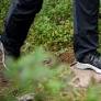 Sörmland Politicians Urge Revitalization of Outdoor Activity Initiatives to Boost Public Health