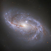 Hubble capta un vistazo de las numerosas estructuras en los brazos que se extienden alrededor de esta galaxia espiral barrada conocida como ngc 2608. Ngc 2608 Galaxia Galaxia Espiral Barrada 2608 Ngc 1672 Wikipedia La