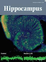 Journal Cover Image | Wiley