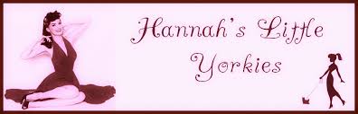 Oregon german shepherd dog rescue group directory. Hannah S Little Yorkies