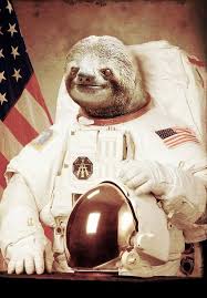 Astronaut Sloth Poster By Bakuspt Sloth Astronaut Sloths Funny Cute Sloth