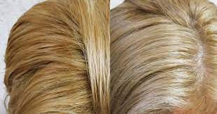 • neutralizing unwanted warmth after lightening. Fun Sources Wella T14 Toner Before And After