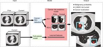 A tumor site located in the lung tissue or subpleural: End To End Lung Cancer Screening With Three Dimensional Deep Learning On Low Dose Chest Computed Tomography Nature Medicine