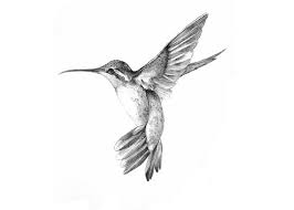 White Bird Tattoos Hummingbird Tattoo Black Black Bird Tattoo