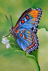 See more ideas about butterfly, beautiful butterflies, birds butterflies. 43 Simple And Easy Watercolor Painting Ideas For Beginners Butterfly Watercolor Butterfly Painting Watercolor Paintings Easy