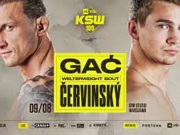 Biało-Czerwoni wystąpią w PŚ w Budapeszcie, w składzie są nowi kadrowicze