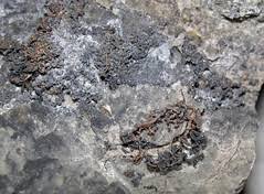 There is more uranium than elements like gold or platinum on earth. Uranium Definition And Meaning