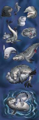 Seal porn