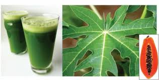 Often times, the powerful antioxidant properties of the lemons and other sources of vitamin c help to prevent the unnecessary free radical damage of the platelets. Best Home Remedies To Increase Low Platelet Count Fast Health Nigeria