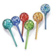 Extra Large Plant Watering Globes Set Of 6 Solutions For Home Yard Garden Auto Watering Globe Large Plants Plants