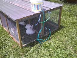 How To Bucket Low Pressure Watering System Random Rabbit Ramblings All About Rabbits Rabbit Cages Low Pressure
