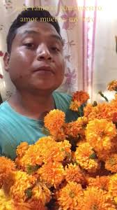 Este Ramo Es Para Nuestro Amor Muerto