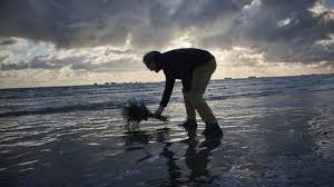 At flowers by the sea, we work with our clients to find just the right way to express your thoughts, feelings, and. Loneliest Of D Day Remembrances After Coronavirus Pandemic