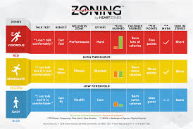Zoning Fitness In A Blink Wall Chart