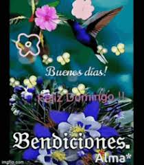 Sonríe que la vida vuela, buenos días feliz domingo. Bendecido Domingo Jesus Gif Bendecido Domingo Jesus Blessed Sunday Discover Share Gifs
