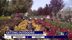 Las vegas' #1 nursery for best trees, plants & palms! Local Nursery Offers A Green Thumb To Las Vegans Needing Help In Their Yards Gardens Klas