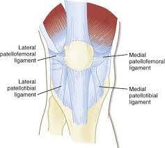 Tensor fascia lata , patellar ligament, knee capsule, patellofemoral ligament active: Patellofemoral Pain Syndrome Treatment In Illinois Dr Chams
