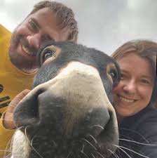 Why does Mount and Blade II crash