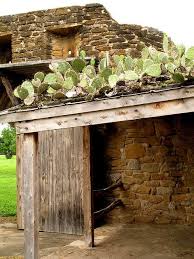 Shed Roof Cactus Green Roof Garden Rooftop Green Roof