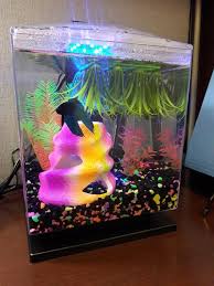 Betta Need 2 5 Gallons A Place To Hide Temperatures Of 72 80 Degrees Fahrenheit And A Filter This Doesn T Provi Aquarium Fish Tank Betta Fish Tank Glofish