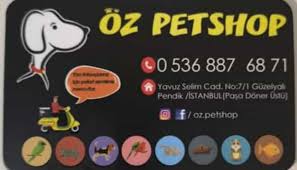Muhabbet Kusu Turkiye 5 150 Photos Pet Breeder 34903 Istanbul Istanbul Province Turkey