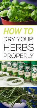 How To Dry Herbs Properly Drying Herbs Herbs Growing Herbs