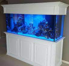 Check spelling or type a new query. Rj S Aquarium Stands Fish Tank Stand Aquarium Stand Aquarium Stands