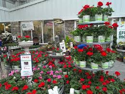 How to open a garden centre. Garden Centres Open With Restrictions Ardcarne Garden Centre Roscommon Boyle
