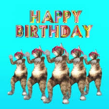 Written, directed and edited by kamil molendys & christian trotta. Happy Birthday Funny Cats Dancing Video Wish Template Postermywall