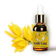 Another simple way to use ylang ylang essential oil for natural hair is to include it in your favorite products. Ylang Ylang Essential Oil Pure Natural Therapeutic Grade Undiluted By Aromazotika For Hair Growth Face And Massage Buy Online In Antigua And Barbuda At Antigua Desertcart Com Productid 131955906