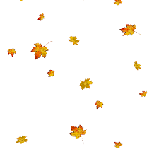 Green, yellow and brown leaves dropping smoothly down the screen reflecting the quietness. Automne Leaves Falling Gif Banner Background Images Animated Love Images Falling Gif