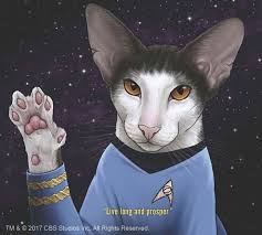 Cats Replace The Star Trek Cast In New Book Cats Cat Art Jenny Park