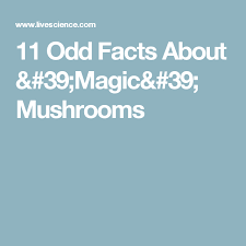 Pin On Magic Mushrooms