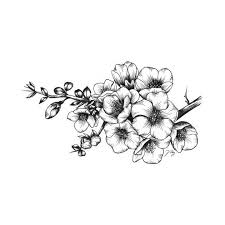 Flowers Drawing Check Out This Awesome Japanese Quince Design On Teepublic Japanese Quince In 2020 Japanese Flower Tattoo Japanese Tattoo Japanese Tattoo Symbols Collection with hand drawn buds, flowers, leaves. japanese flower tattoo japanese tattoo