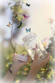 Here we have come up the latest collection of whatsapp dp including white floral bouquets, tulips, deep red roses, pink flowers, and the list goes on. Butterflies Are Free Beautiful Butterflies Art Beautiful Flowers Wallpapers Butterfly Art