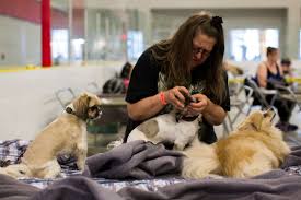 Fast forward a good few years and we have now realised our dream of owning our own smallholding with the ability to provide a safe place for animals to live out their lives. Fort Mcmurray Pet Owners Issue Desperate Pleas For Help The Star