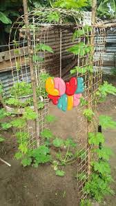 Hasil berdudi kepada tanah sangat tak rugi sahabat☺#budakkampung#minikebun#rumahkusyurgaku#sayangiibuayah. Cantikkan Dan Kreatif Kawan Ku Ni Kebun Mini Tepi Rumah Facebook