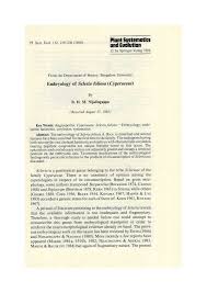 Image result for Scleria foliosa