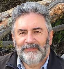 Where to find potato pizza in Dover?