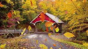 Peaceful Music Relaxing Music Instrumental Music Autumn Leaves Tim Janis Youtube