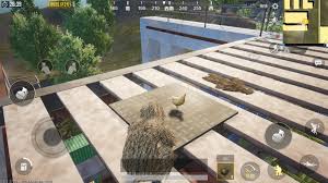 How to search and add friends in pubg mobile? Can You Find The Chicken In Training Mode Pubgmobile