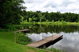 Lütfen farklı bir tarih seçin. Roland Cooper State Park Camden Alabama Travel